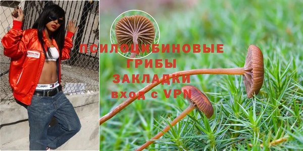 каннабис Ельня